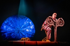 Cirque du Soleil LUZIA