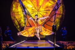 Cirque du Soleil LUZIA