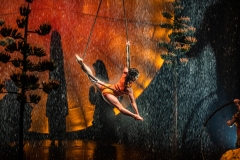 Cirque du Soleil LUZIA