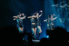 IVE Auckland
