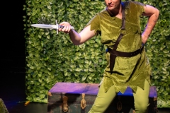 Peter Pan: A Twinkle In Time