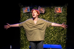 Peter Pan: A Twinkle In Time