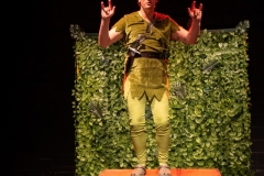 Peter Pan: A Twinkle In Time