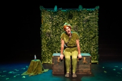 Peter Pan: A Twinkle In Time