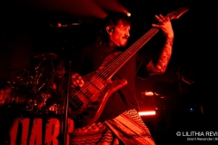 The Used