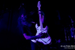 The Used